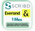 Scribd libros y audiolibros 1 mes Everand