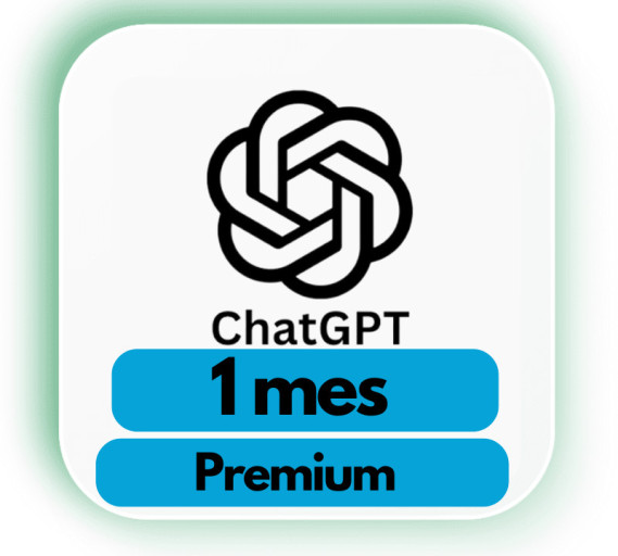 a.Chat GPT 1 mes